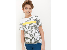 20110110128   Lebur   �������.jpg