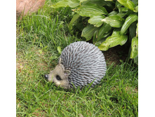 ������ ���� ������� 407,58.jpg