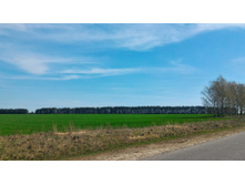 P 20180505 102603-01.jpeg