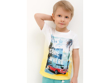 20120110118 ������