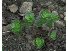 ���������� ����� :)