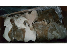 ������� �.�. +1000 ��������.