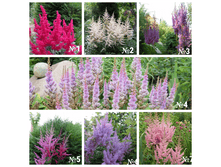 ����� ��������