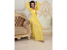 ������� ������� ���� 650 �