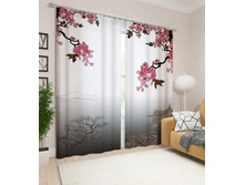 02510 "�������� ������"