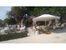 IMG 20180507 155939.jpg