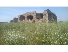 IMG 20180507 152906.jpg