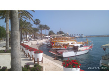 IMG 20180505 154918.jpg