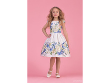 38-8002-2 ������ ��� �������	1066 ���.