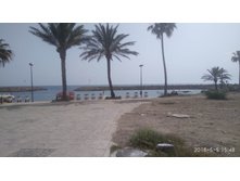 IMG 20180505 154835.jpg