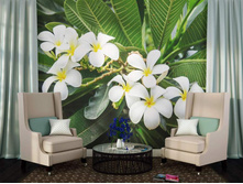 ����������� �����.jpg