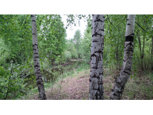 IMG 20180520 125347.jpg