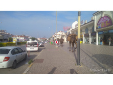 IMG 20180522 182040.jpg