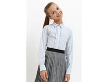 20240260040   Hibiscus   �������.jpg