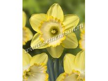 ������� �����.jpg