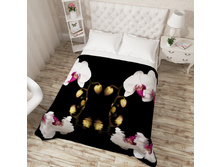 10870  "����� �������"