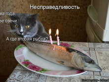 ����������������! ��� ����. ��� �����. � ��� ������ �����?