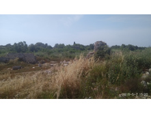 IMG 20180507 152041.jpg