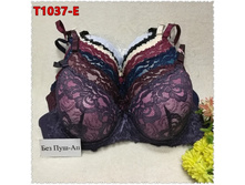 ������������,TSUTEY-1037 ����� E ������� ����: 200 �