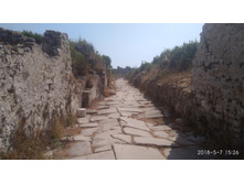 IMG 20180507 152629.jpg