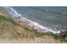 IMG 20180507 153758.jpg