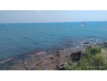 IMG 20180507 154512.jpg