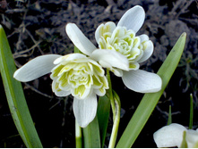 �������� ��������