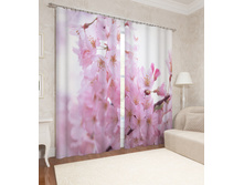 04616 ��������� "�������� ������"