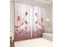 03793  "������ �����"