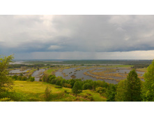 P 20180519 152436-01.jpeg