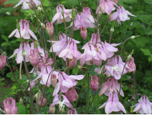 ���������.