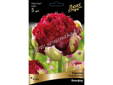 ������� ����������� �������.jpeg