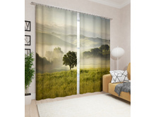 ��������� "�������� ����" 01814