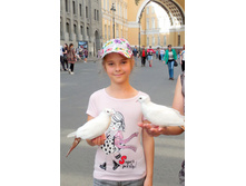 ������ �� �������