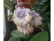 UA-�i���� �����.JPG