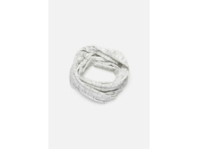 20106440024   Ficus   �����.jpg