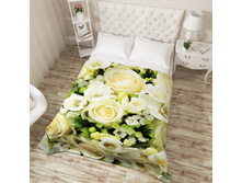 10868 "�������� �����������"