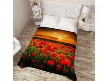 ����005-02161 ������� �� ������