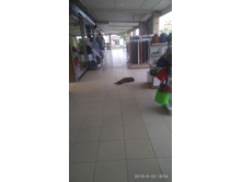 IMG 20180522 185420.jpg