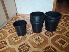 IMG 20180502 075402.jpg