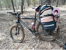 IMG 20180430 121108.jpg