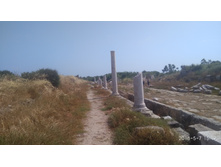 IMG 20180507 151901.jpg