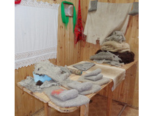 DSC00880.jpg