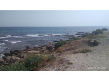 IMG 20180505 160150.jpg