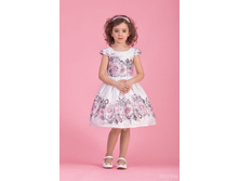 38-8002-3 ������ ��� �������	1066 ���.