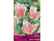 ������� ���������� �������� ������.jpeg