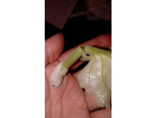 IMG 20180522 205945.jpg