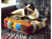 ������� ��� �������� "�������"