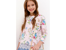 20210170053   Canis   ������-�������(������).jpg