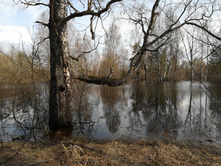 IMG 20180430 151452.jpg